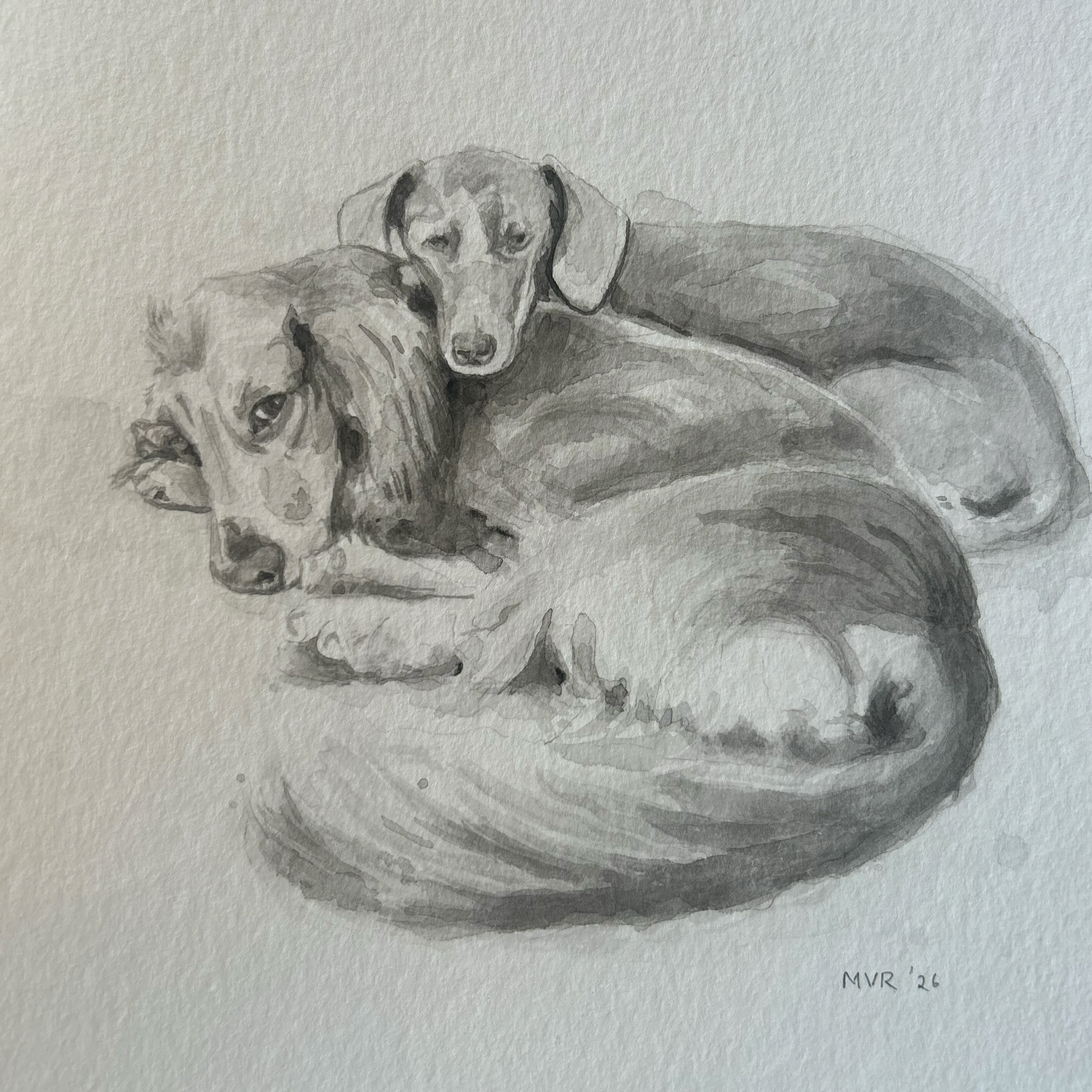 Pets